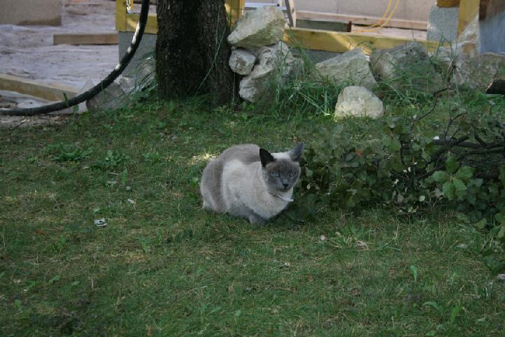 2013-08 004.JPG
